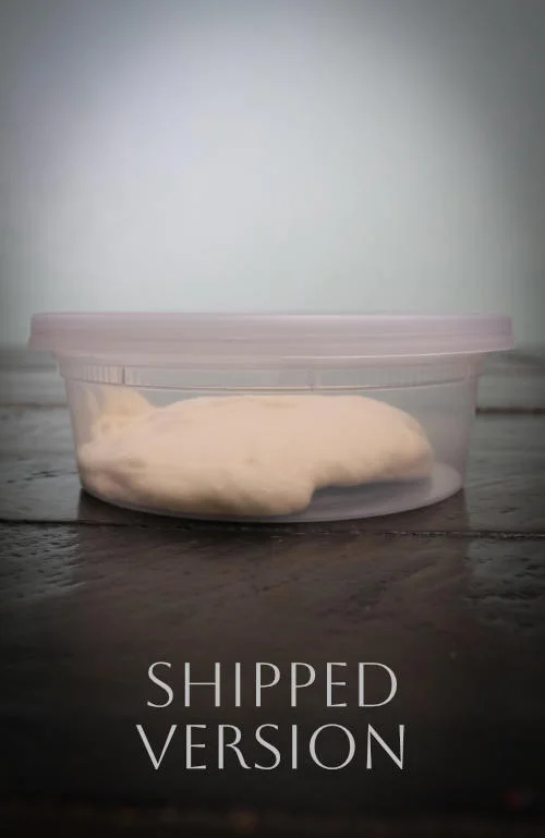 San Francisco Sourdough Starter shipped version