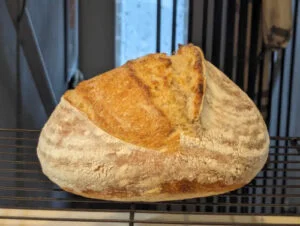 josh sourdough first loaves